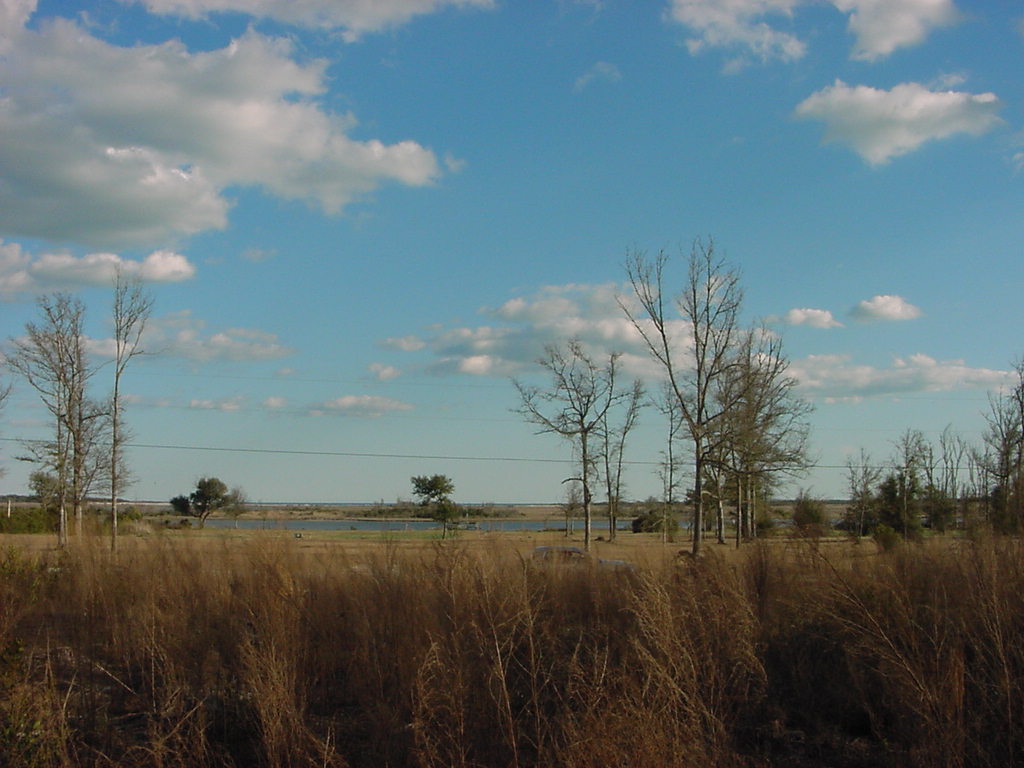 View of freshly cleared lot in December 1998.