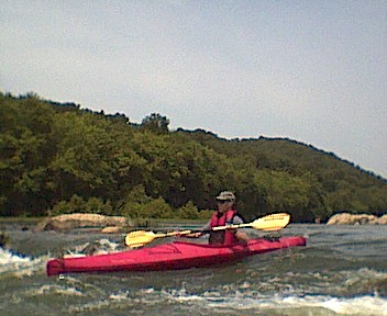  Blue Juniata .