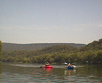  Blue Juniata .