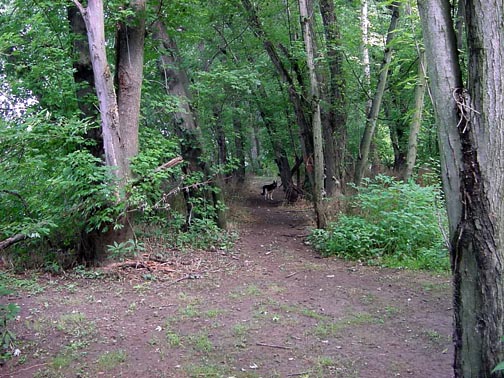  Ken's Camping area.