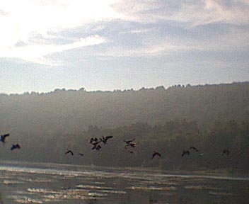  Blue Juniata River.